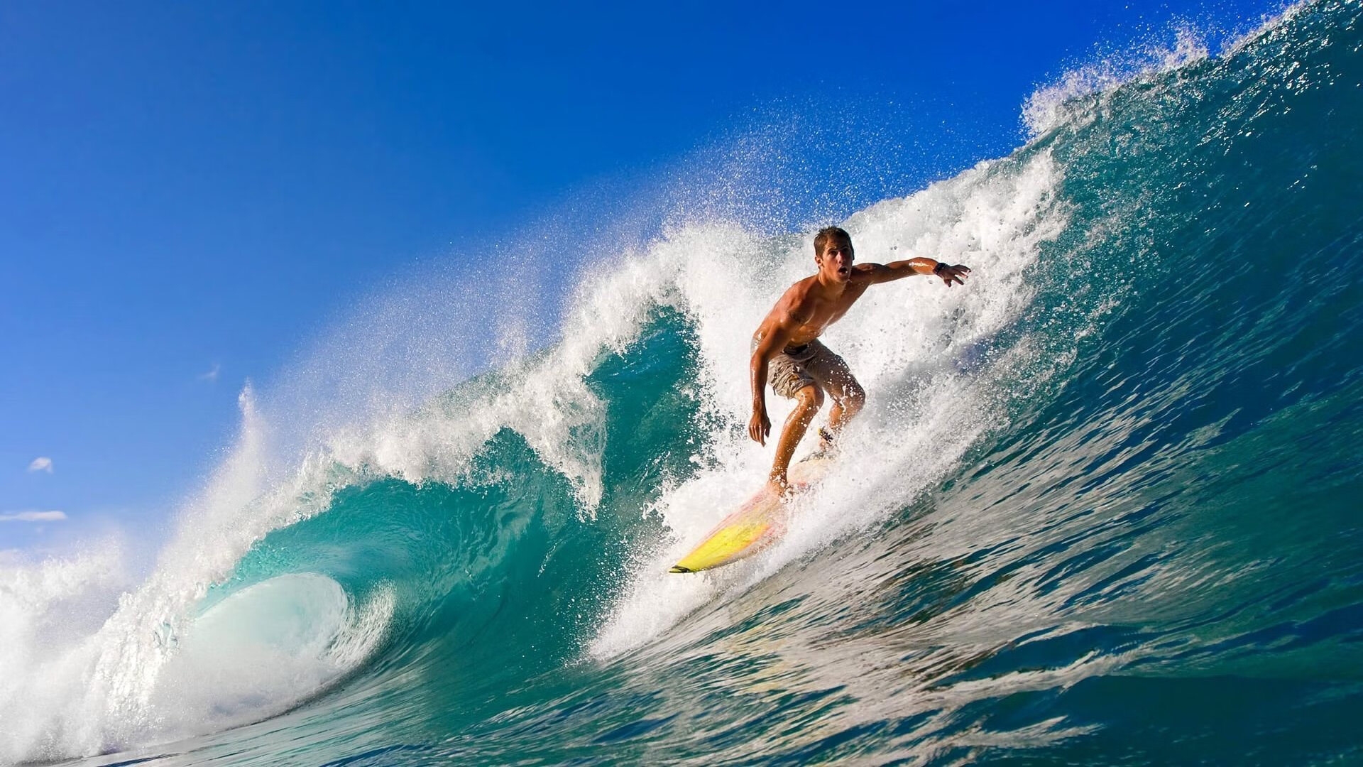 全国板球公开赛开局平稳 新兴群体逐渐壮大